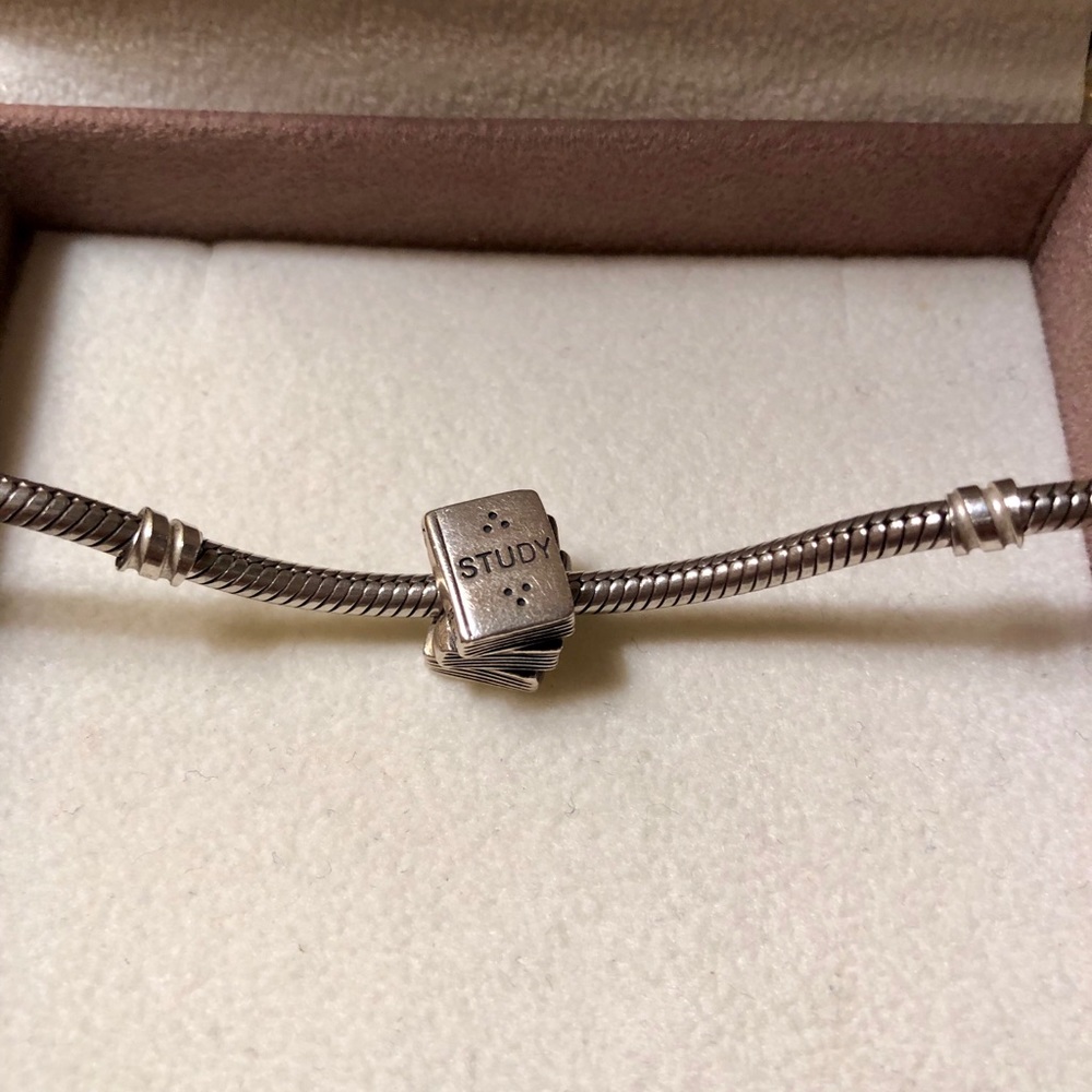 PANDORA STUDY CHARM